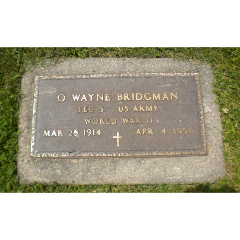Grouping, T/5 Oris Bridgman, Medical Department, 53rd & 103rd General Hospitals, ETO