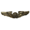 Wings, Aircrew Badge, USAAF, 2-inch, Sterling