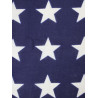 Flag, US, 48-Star, Printed, 22' x 36'