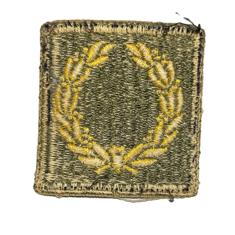 Insigne, Meritorious Unit Citation