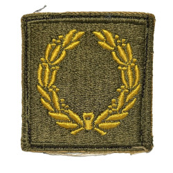 Insigne, Meritorious Unit Citation