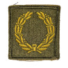 Insigne, Meritorious Unit Citation