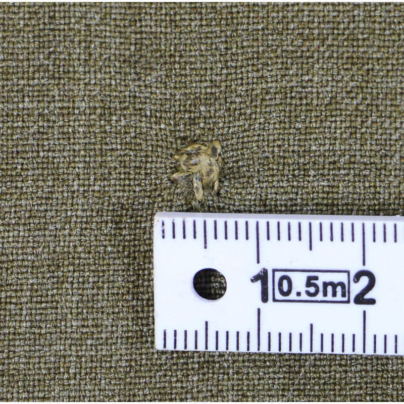 Shirt, Wool, Officer's, Captain, 18th Inf. Regt., 1st Infantry Division