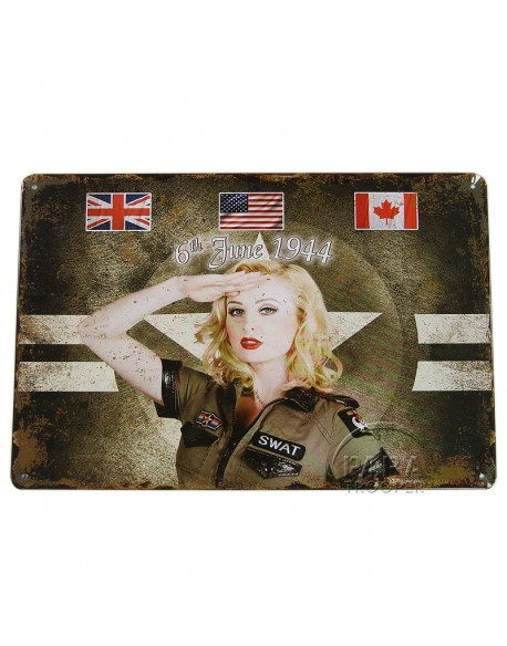 Plate, Metal, Pin-Up 6th June 1944