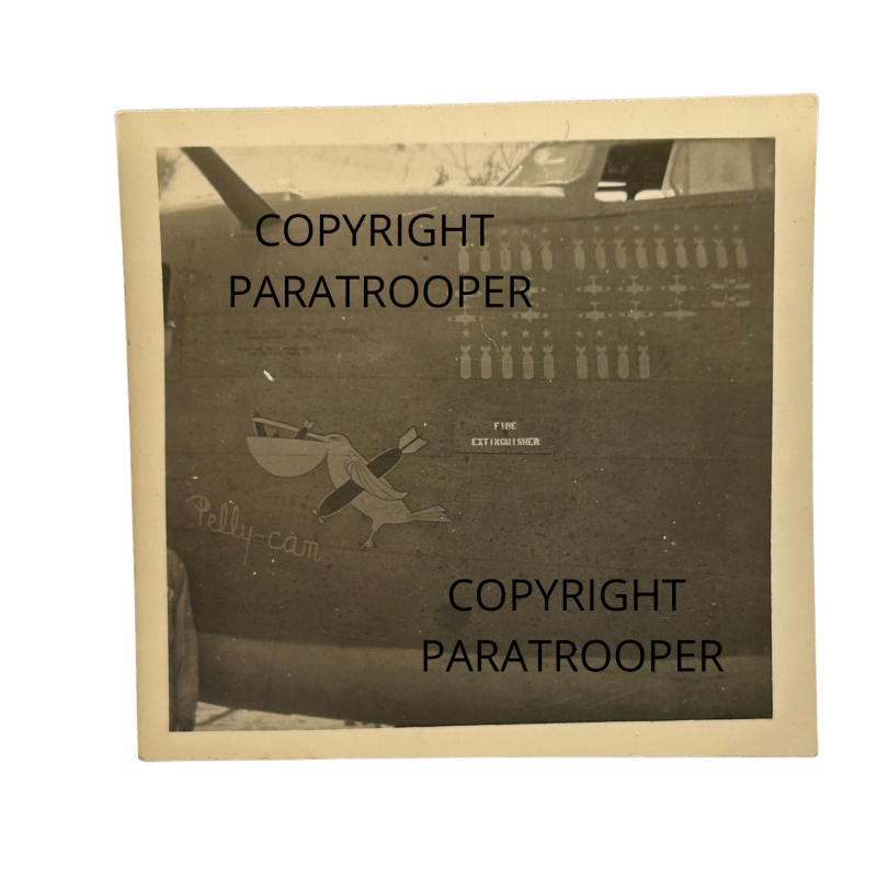 Photo, USAAF, B-24D, Nose Art, "PELLY-CAN"