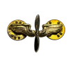 Insigne de col officier, USAAF