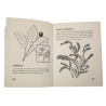 Guide de survie, Survival - Jungle, Desert, Arctic, Ocean, USAAF