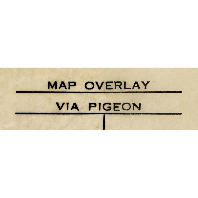 Overlay, Map, Pigeon