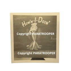 Photo, USAAF, B-24D, Nose Art, How'm-I-Doing, Pin-up