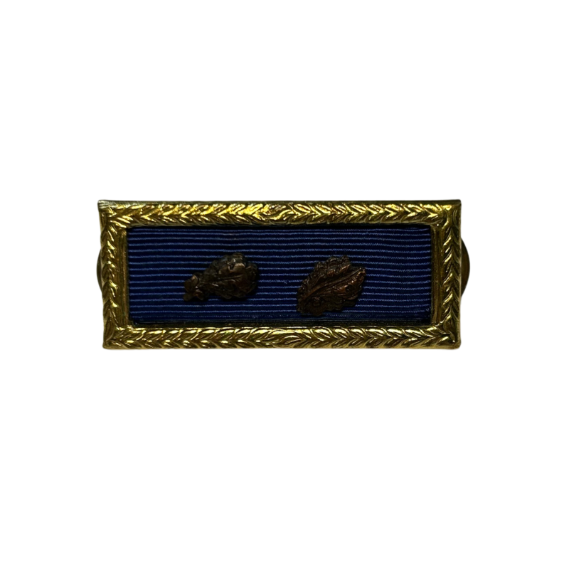 Presidential Unit Citation, with two Oak Leaf cluster, CB