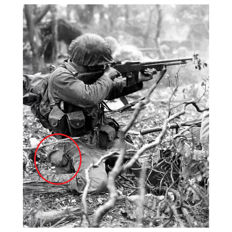 Porte-grenades, deux compartiments, USMC