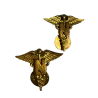 Insignes de col officier, US Army Nurse Corps, à pin's