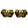 Insignias, Collar, Warrant Officer, CB