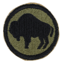 Insigne, 92nd Infantry Division, "Buffalo Soldiers"