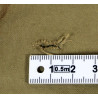 Grouping, Pvt. John Breen, USAAF