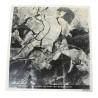 Photographie, reconnaissance aérienne, 2 mars 1944, "Secret"