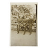 Grouping, Pfc. Charles Witters, Medic, 120th Inf. Regt., 30th Infantry Division, WIA, ETO