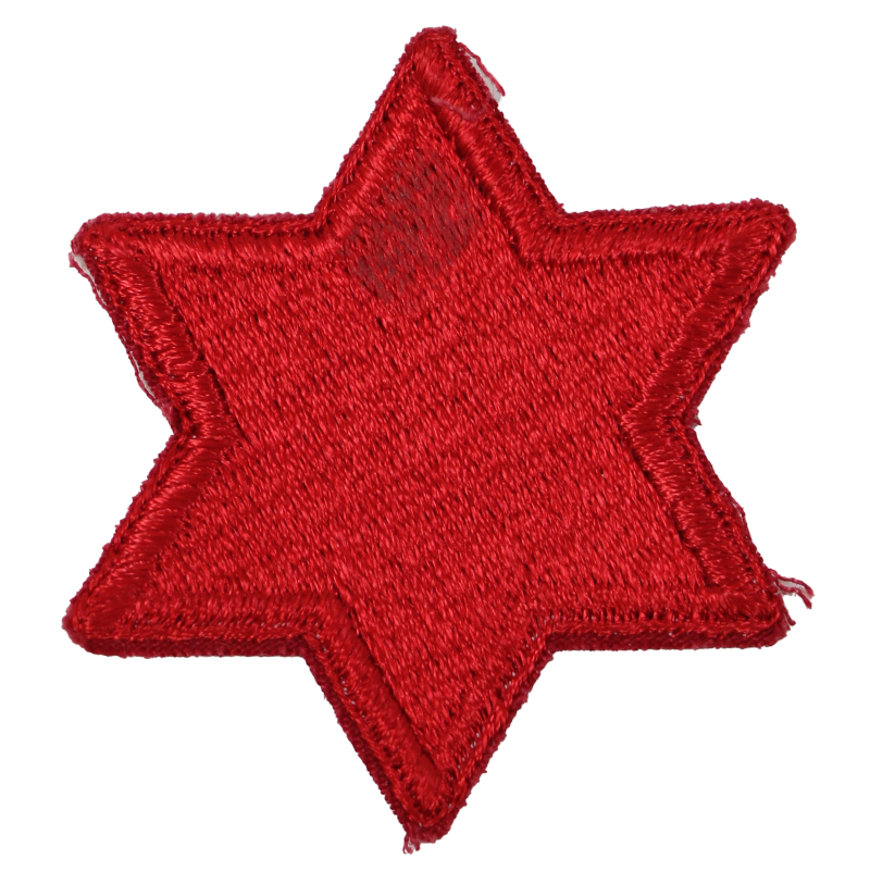 Patch, 6th Infantry Division