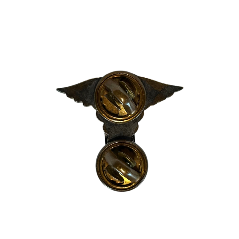 Insigne de col officier, US Army Nurse Corps, à pin's