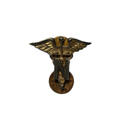 Insigne de col officier, US Army Nurse Corps, à pin's