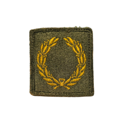 Insigne, Meritorious Unit Citation