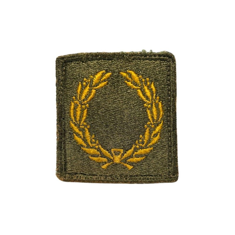 Insigne, Meritorious Unit Citation