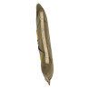 Porte-documents, T/3 Norman Kozloski, 35th Infantry Division, ETO