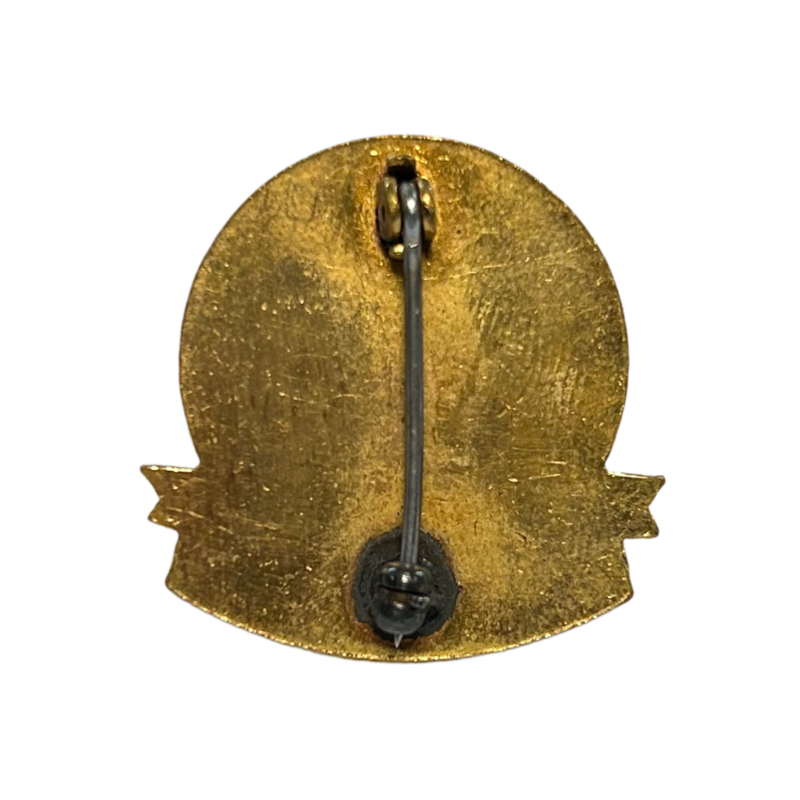 Crest, 1st Troop Carrier Command, à épingle