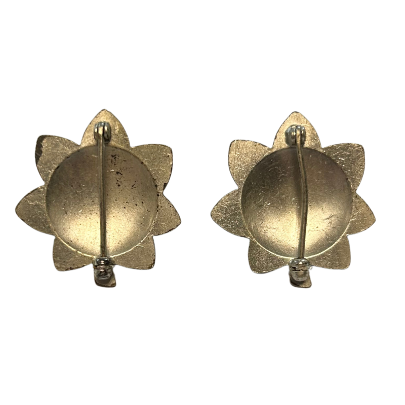 Rank, Insignias, Lieutenant Colonel, Pair, PB