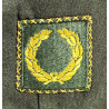 Jacket, Ike, Staff Sergeant, 102nd Infantry Division & 8th Armored Divison, ETO