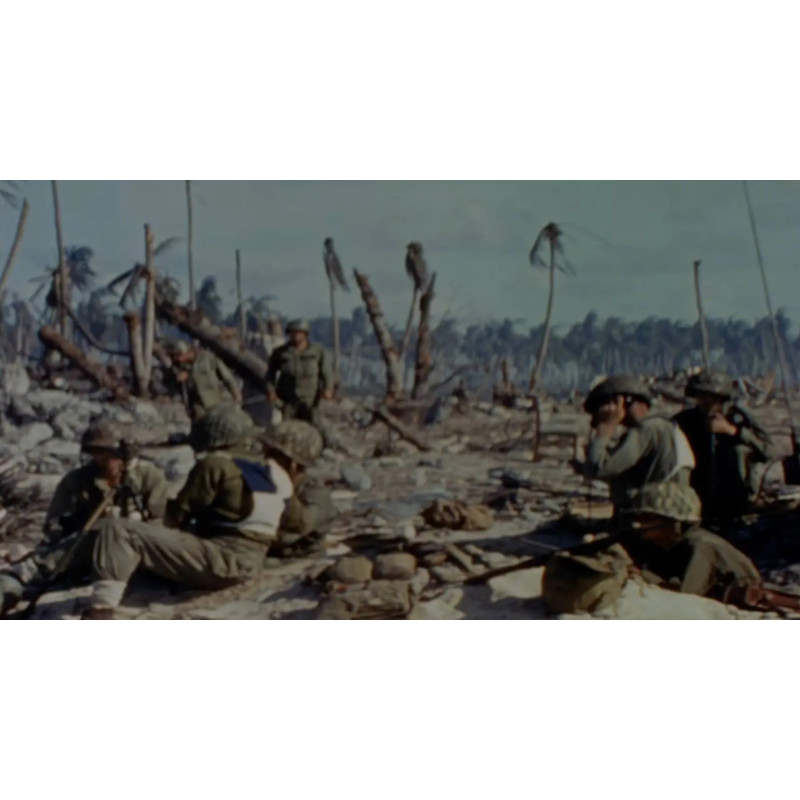 Panel, Identification, 7th Infantry Division, Battle of Kwajalein, PTO