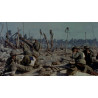 Panel, Identification, 7th Infantry Division, Battle of Kwajalein, PTO