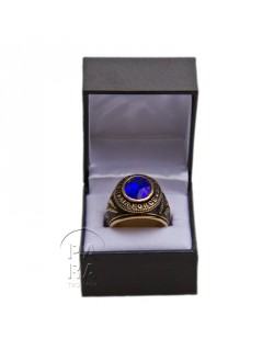 US Air Force ring