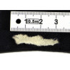 Grouping, June Spaulding, US Coast Guard, SPAR