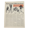 Newspaper, The Devil's Digest, 508th PIR, 82nd Airborne Division