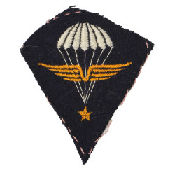 Brevet de parachutiste français, infanterie de l'air, 1er RCP