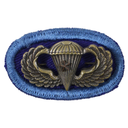 Ovale & brevet de parachutiste, 502nd PIR, 101st Airborne Division