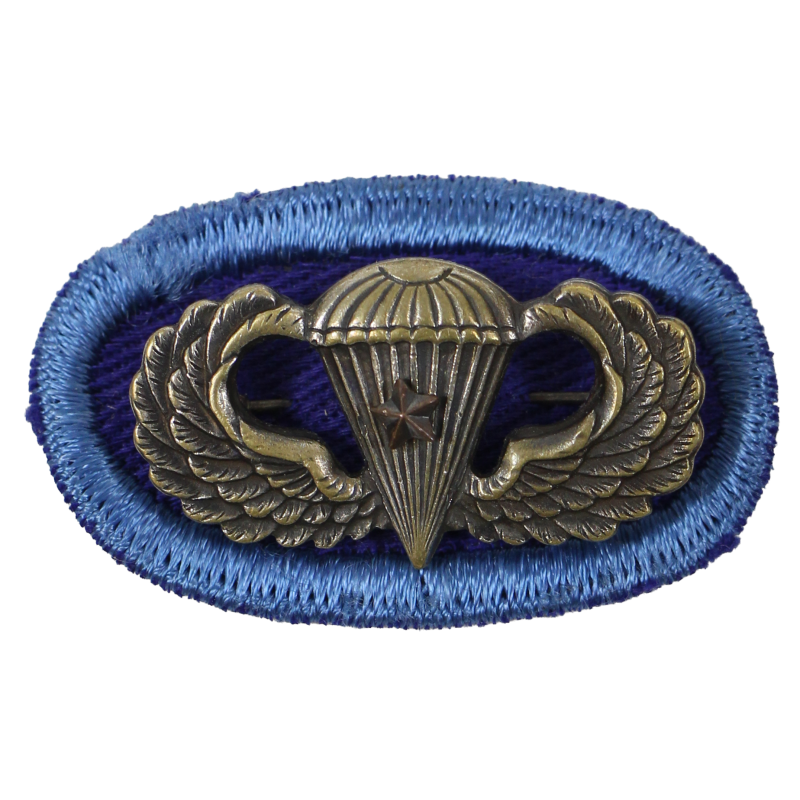 Oval & Jump Wings, 502nd PIR, 101st Airborne Division