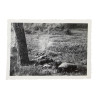 Lot de quatre photographies, US Army, Medic, Italie, printemps 1945
