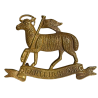 Cap Badge, Cranleigh School, CCF, Combined Cadet Force Officers Training Corps