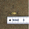 Battledress canadien, Pattern 1939, Lieutenant, Royal Canadian Artillery, 8th Infantry Division