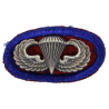 Oval & Jump Wings, 501st PIR, 101st Airborne Division