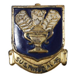 Crest, DUI, Technical Training Command, USAAF, PB
