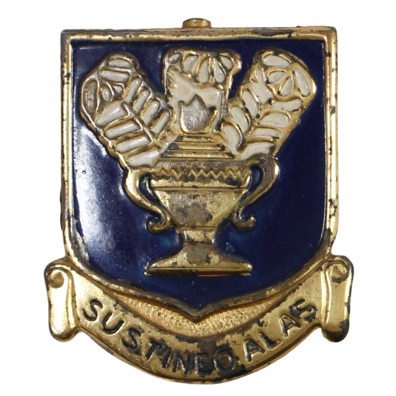 Crest, DUI, Technical Training Command, USAAF, PB