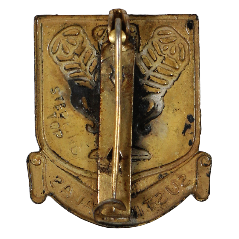 Crest, DUI, Technical Training Command, USAAF, PB