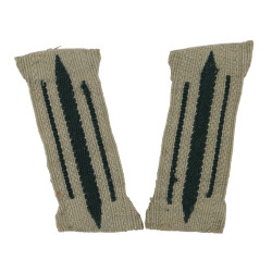 Collar insignia (Litzen), General Service, BeVo