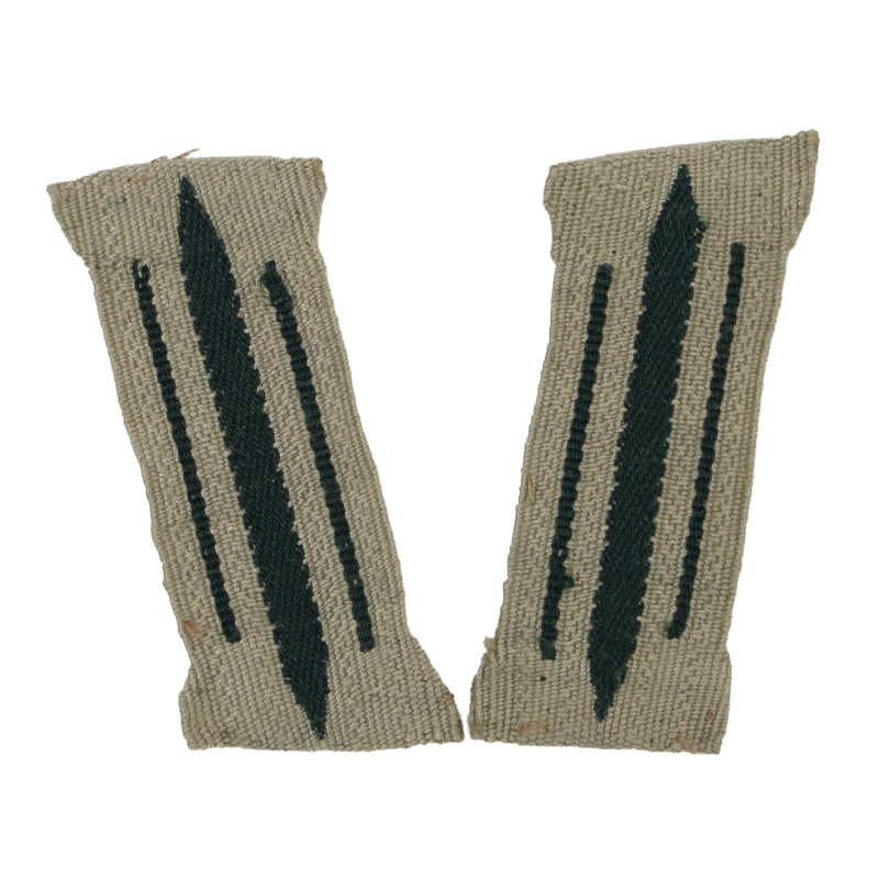 Pattes de col (Litzen), Service Général, BeVo