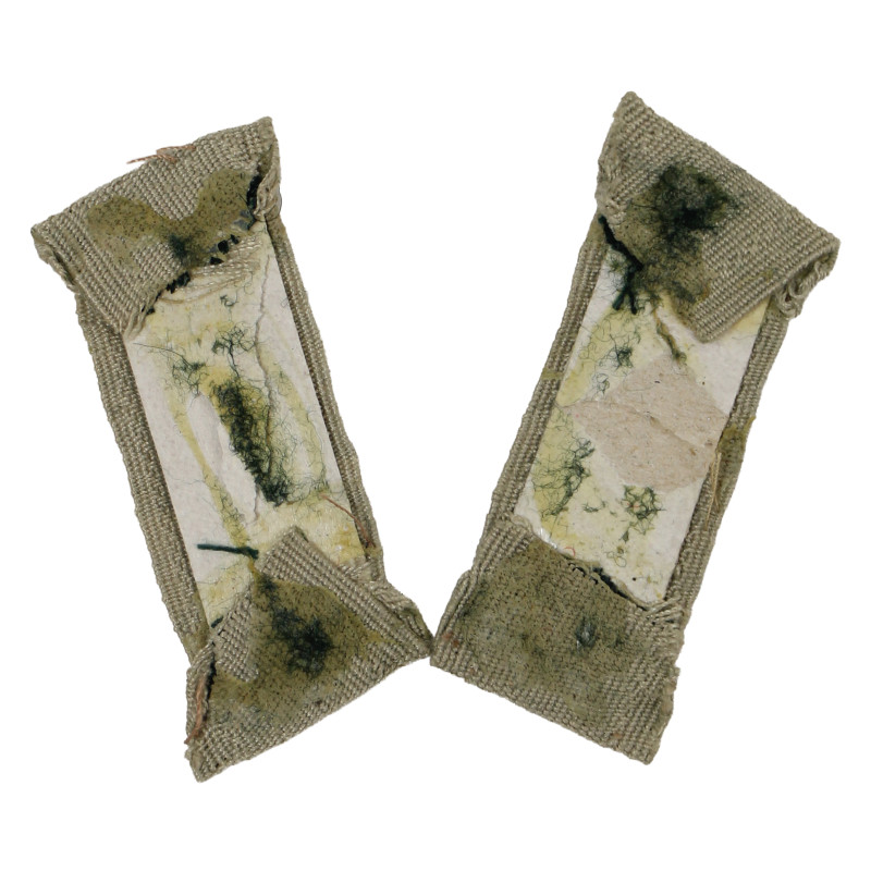 Pattes de col (Litzen), Service Général, BeVo