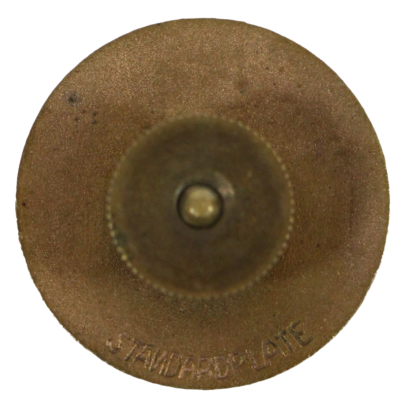Disque de col, Massachusetts Inf. Regt.