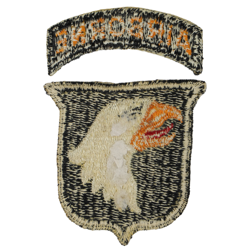 Insigne, 101st Airborne Division, Type 1